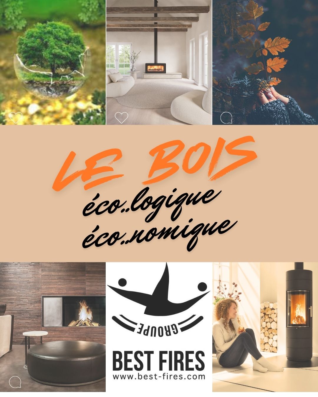le bois ecologique economique 01