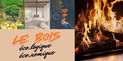 le bois ecologique economique