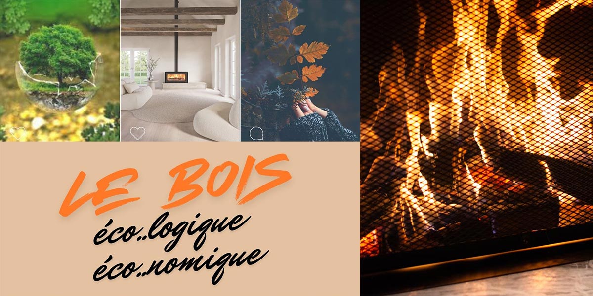 le bois ecologique economique