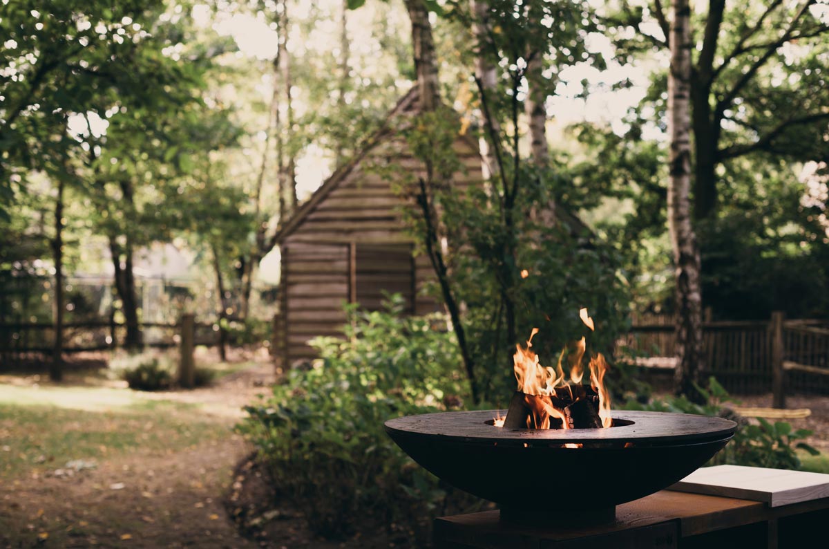 Plancha wood Outr